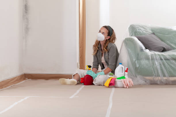 Reliable Mold Remediation contractor in Martinsville, IL by WQB Mold Removal